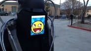 Серія 16
