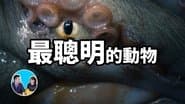 Episode 43
