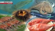 You Eat That?! - Cool Seafood