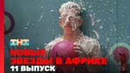Серія 11