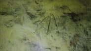 Серія 23