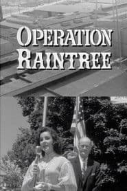 Operation Raintree