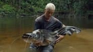 Malaysian Lake Monster