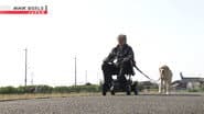 Серія 17