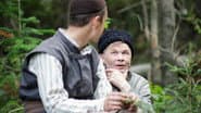 Серія 7
