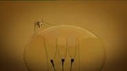 The Mosquito