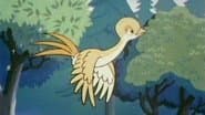 Episode 43