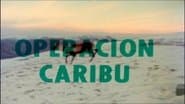 Серія 8