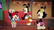 Yakko's Big Idea