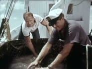 Flipper's Odyssey (1)