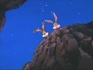 Journey to the Center of Acme Acres