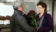 Серія 14