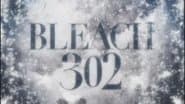 Серія 302