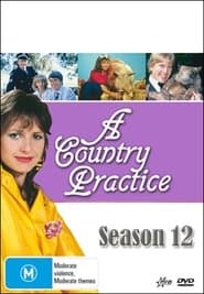 Season 13