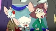 Mousechurian Candidate