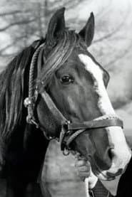 Champ, Gene's Horse