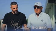 Серія 16