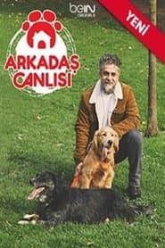 Arkadaş Canlısı