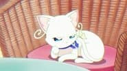 Nyanfluencer Mayu