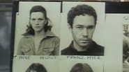 Серія 7