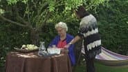 Серія 26