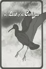 The Last of the Curlews