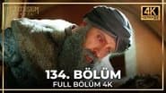 Серія 31