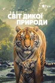 Сезон 1