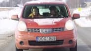 Серія 23