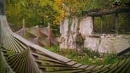 Серія 10