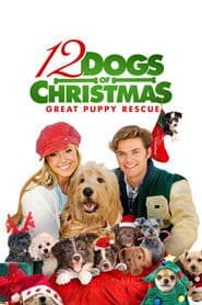 12 Dogs of Christmas: Great Puppy Rescue
