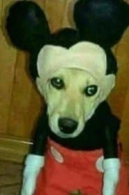Момиче 2