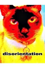 disorientation