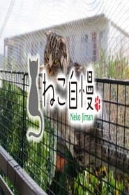 ねこ自慢