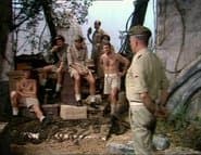 The Night of the Thugs