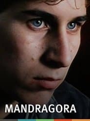 Мандрагора
