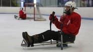 Серія 12