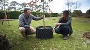 Episode 18 Planting Trees, Native Climbers & Kiwi Prune