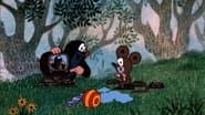 The Mole on TV