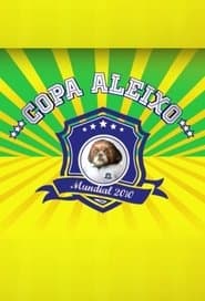 Copa Aleixo 2010