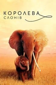 Королева слонів