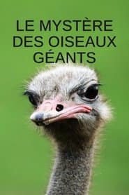 Mystery of the Giant Birds