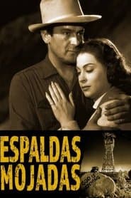 Espaldas mojadas