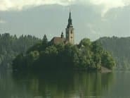 Серія 12