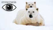 Серія 1