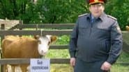 Серія 19