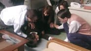 Серія 9