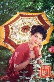 三姨太