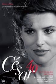 Сезон 40
