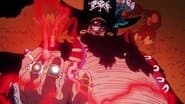 The Winner Takes All! Law vs. Blackbeard!